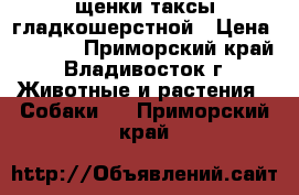 щенки таксы гладкошерстной › Цена ­ 5 000 - Приморский край, Владивосток г. Животные и растения » Собаки   . Приморский край